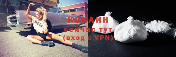 прущие грибы Абдулино
