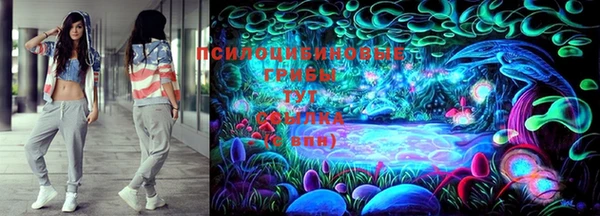 СК Абаза
