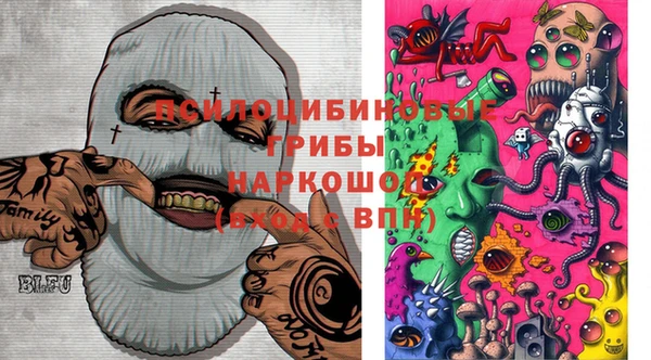 прущие грибы Абдулино