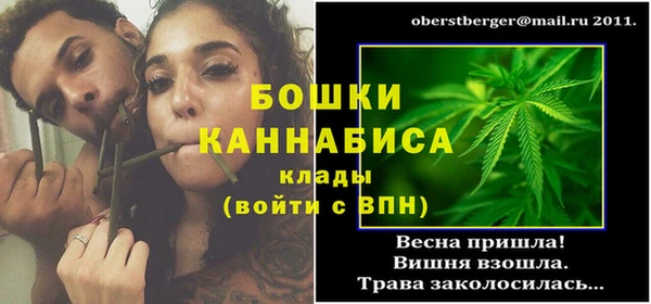 прущие грибы Абдулино