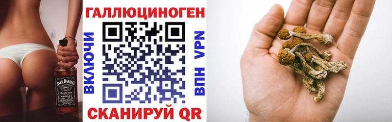 Псилоцибиновые грибы мицелий Осташков